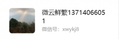 <strong>3.现私：用户能够</strong>